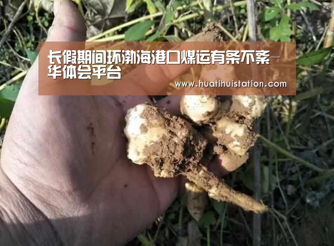 长假期间环渤海港口煤运有条不紊-华体会平台