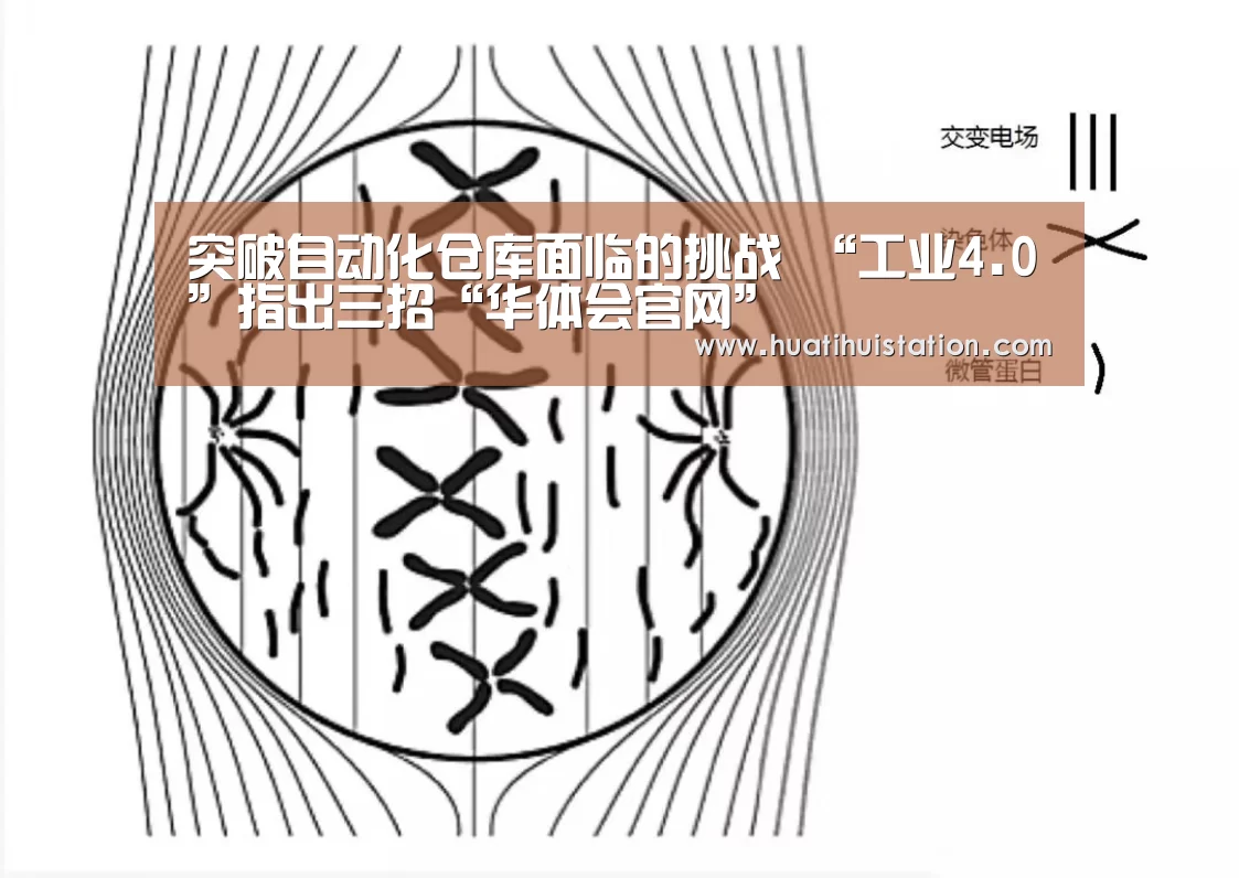 华体会下载